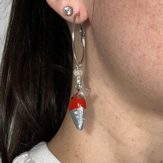 theres silver fish in the closet