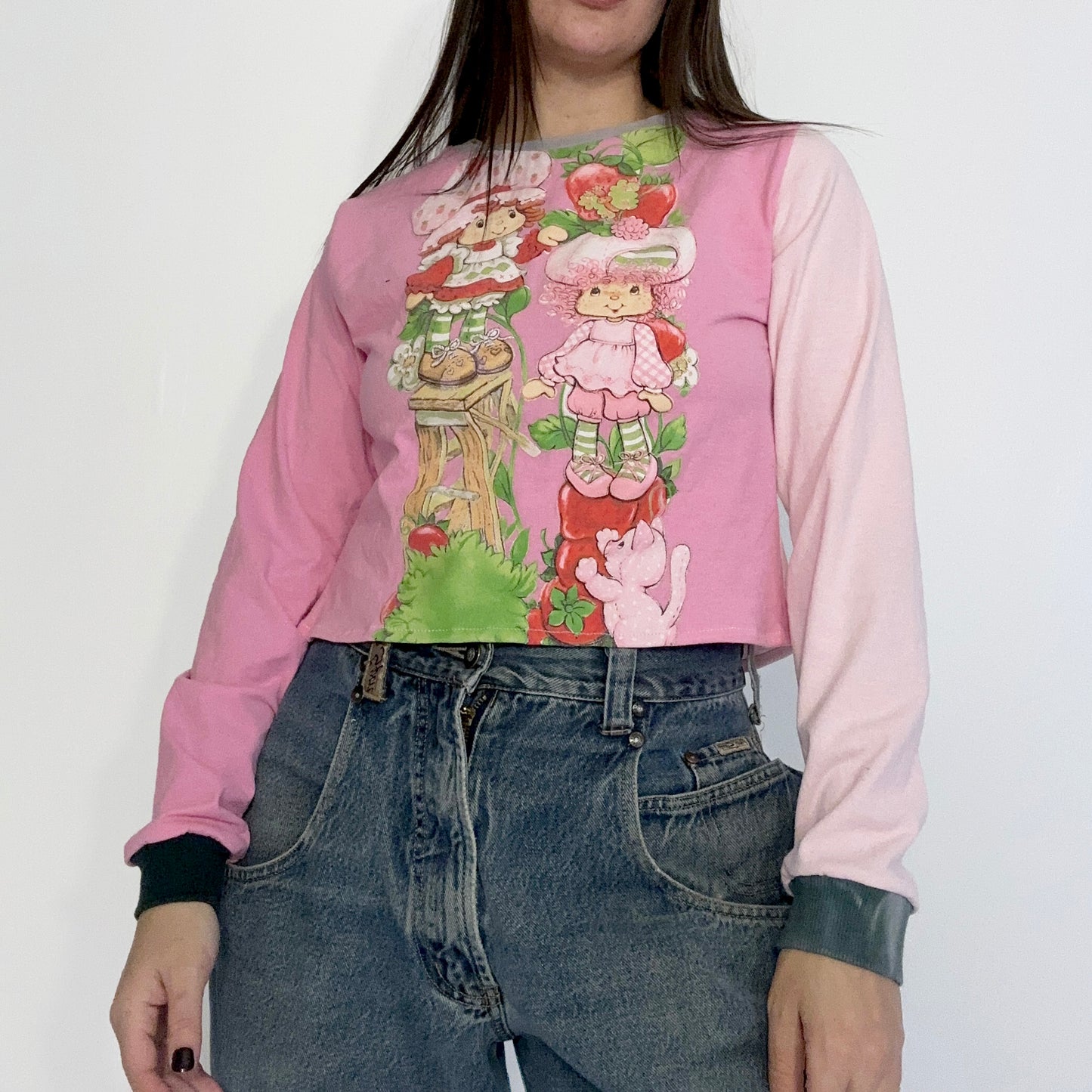 strawberry shortcake (sm)
