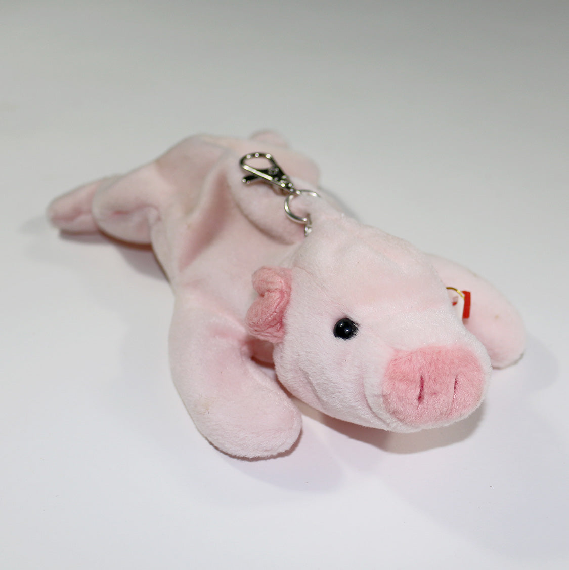 squealer