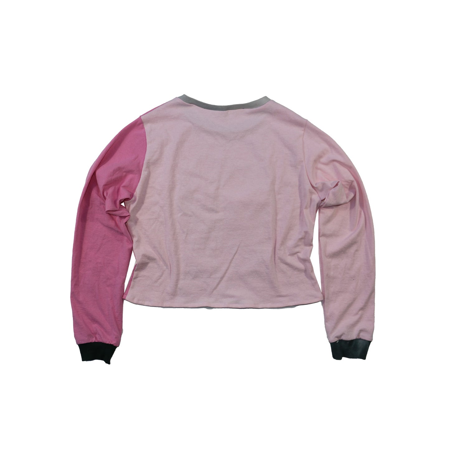 strawberry shortcake (sm)
