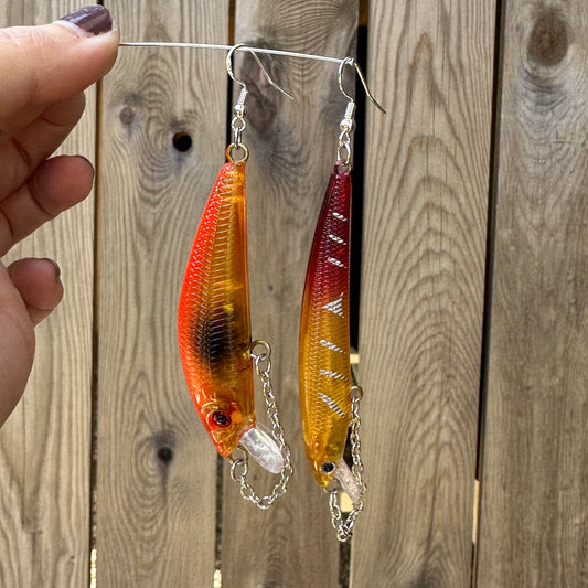 rainbow trout