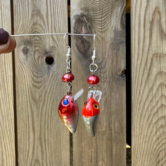 creek chub