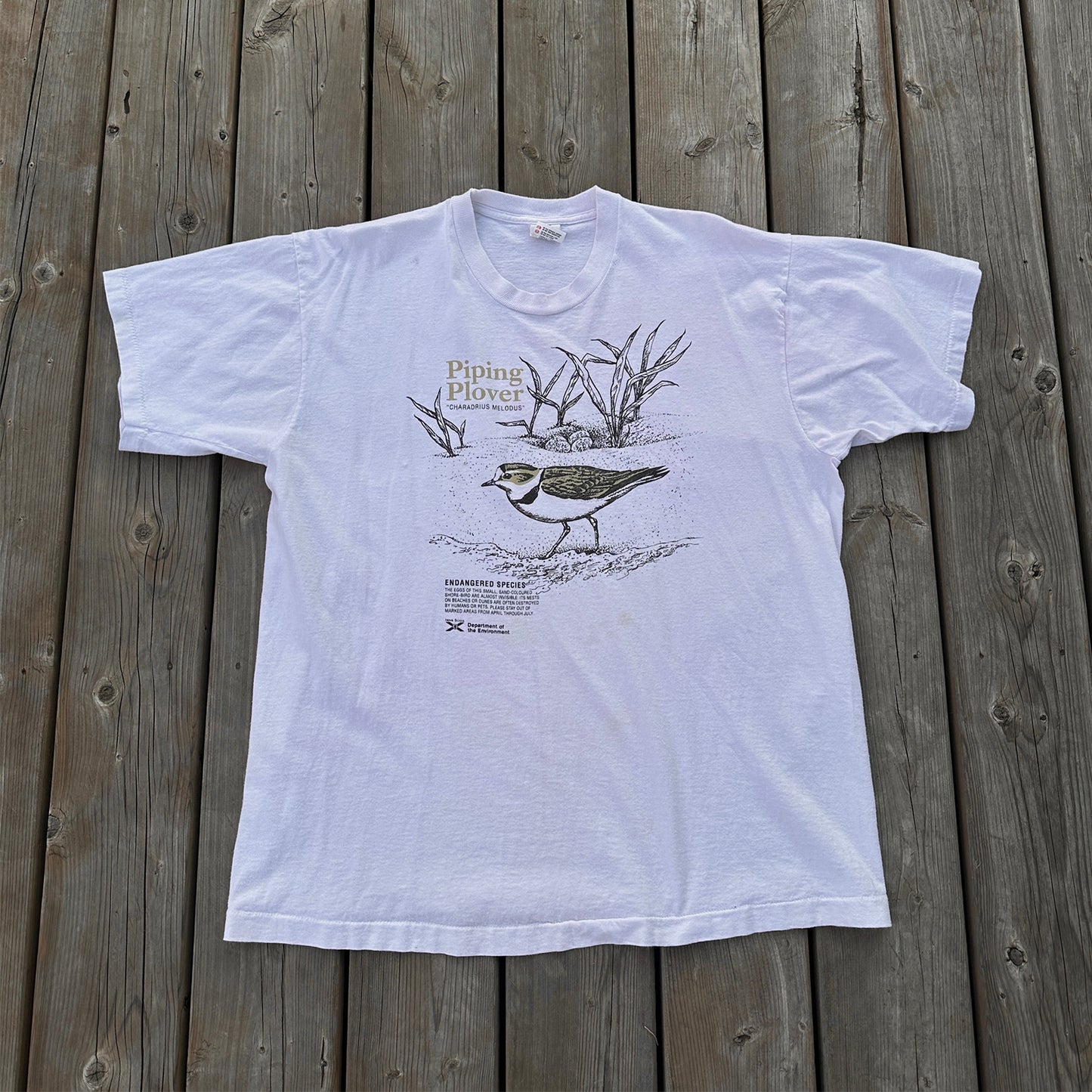 protect the piping plovers (xl)