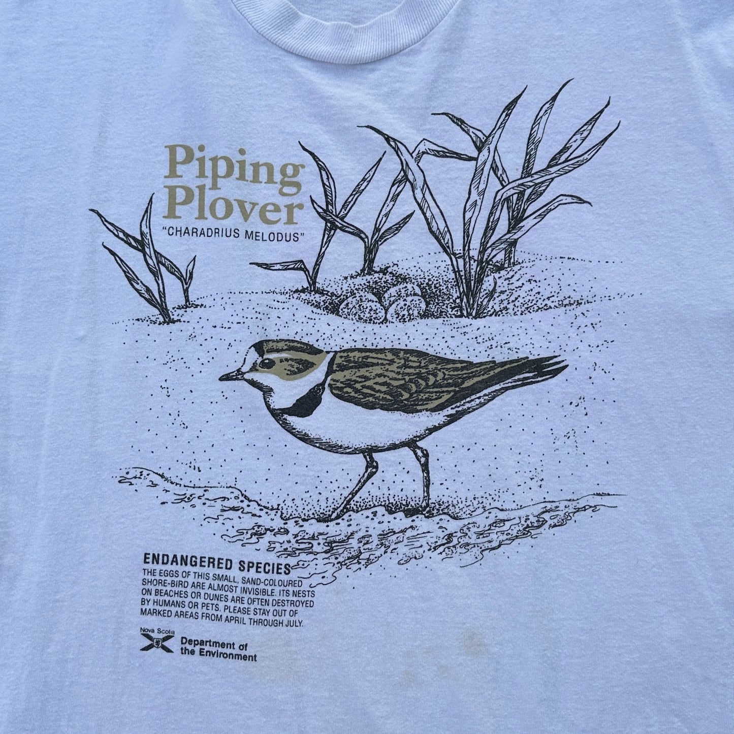 protect the piping plovers (xl)