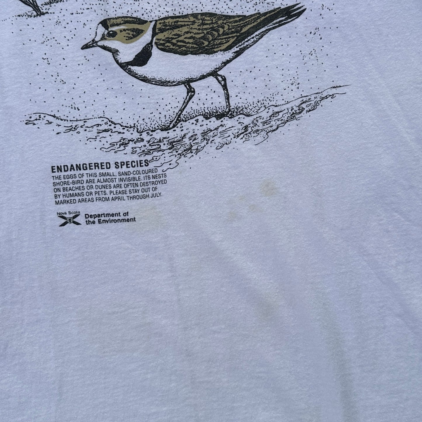 protect the piping plovers (xl)