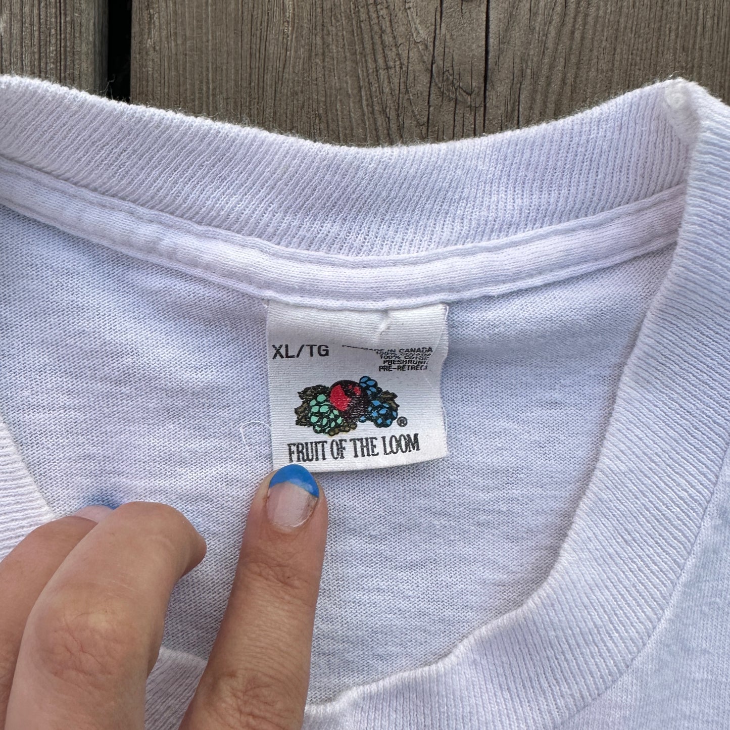 protect the piping plovers (xl)