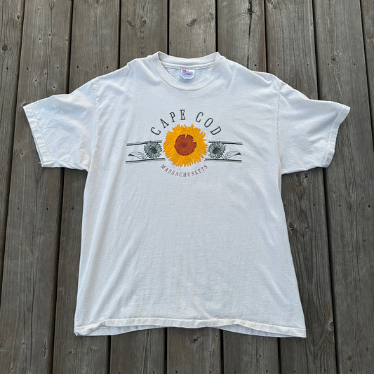 cape cod (lg)