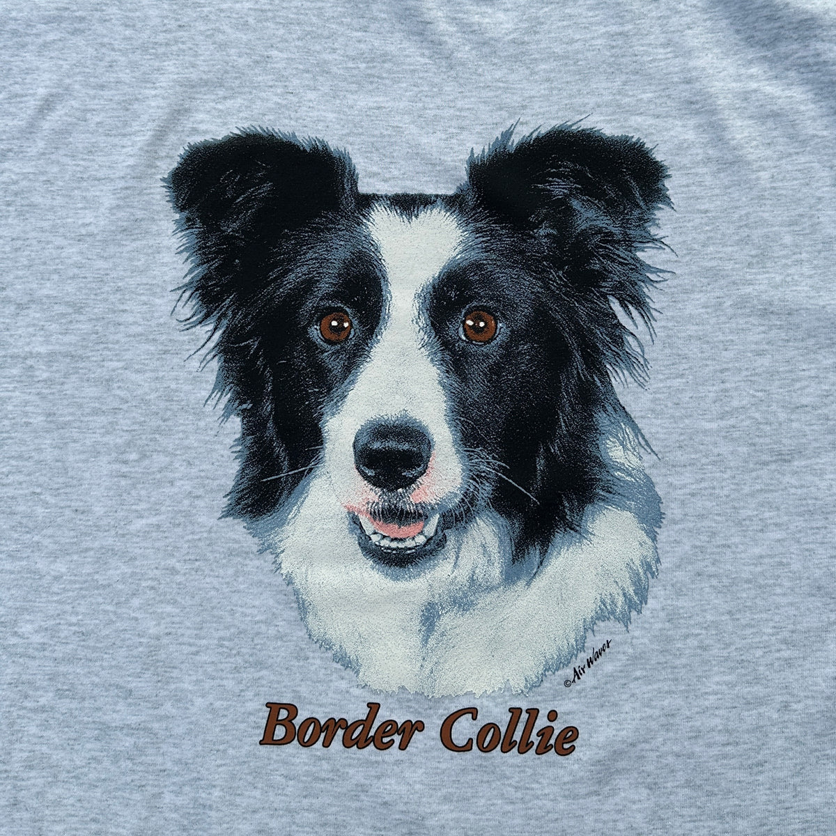 border collie (xl)